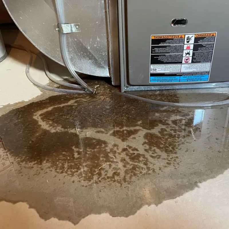 Pipe Burst and Leak Restoration in Hempstead County, AR